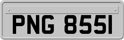 PNG8551