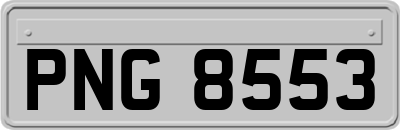 PNG8553