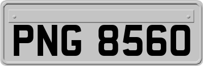 PNG8560
