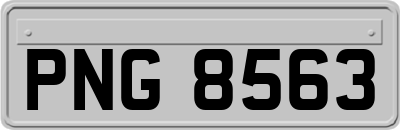 PNG8563