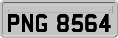 PNG8564