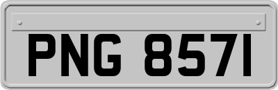PNG8571