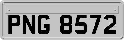PNG8572