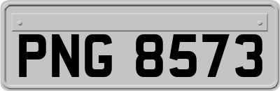 PNG8573