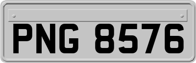 PNG8576