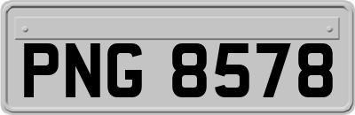 PNG8578