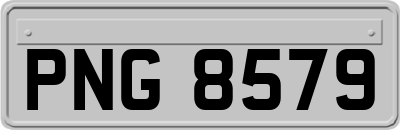 PNG8579