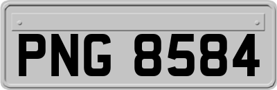 PNG8584
