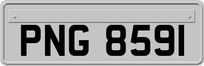 PNG8591