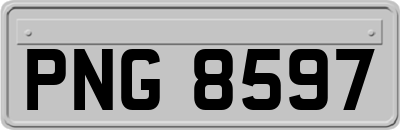 PNG8597