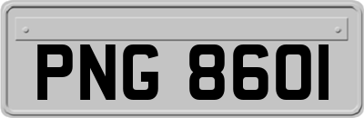 PNG8601