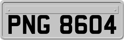 PNG8604