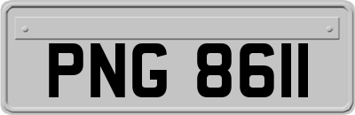 PNG8611