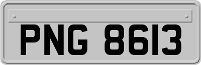 PNG8613