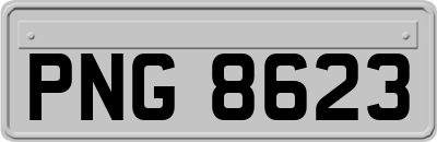 PNG8623