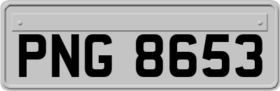 PNG8653