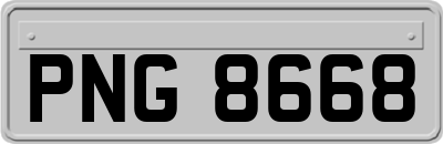 PNG8668