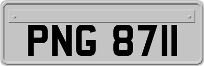 PNG8711