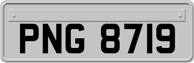 PNG8719