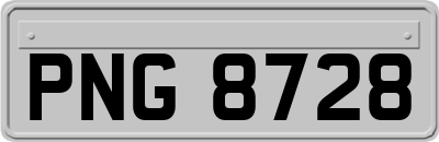 PNG8728