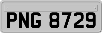 PNG8729