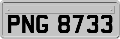 PNG8733