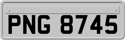 PNG8745