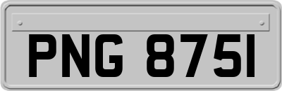 PNG8751