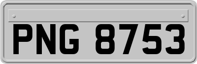 PNG8753