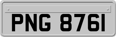 PNG8761