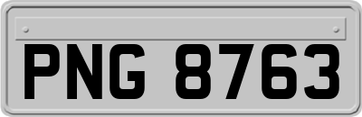 PNG8763