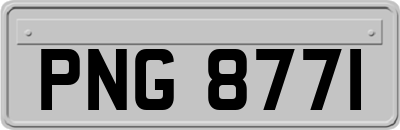 PNG8771