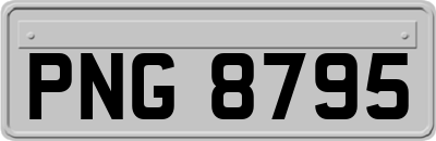 PNG8795
