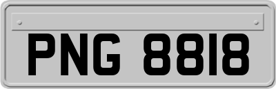 PNG8818