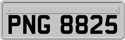 PNG8825