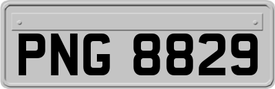 PNG8829