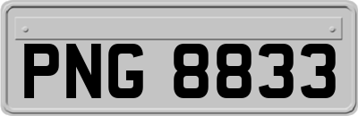PNG8833
