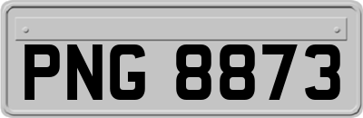 PNG8873