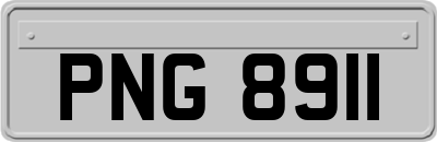 PNG8911