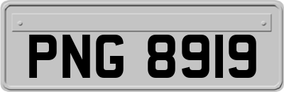 PNG8919
