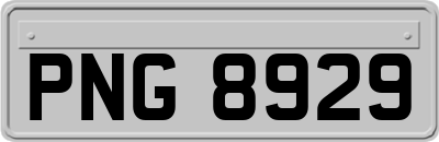 PNG8929