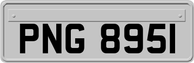 PNG8951