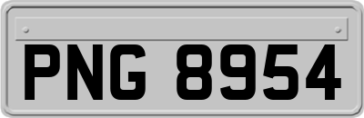 PNG8954