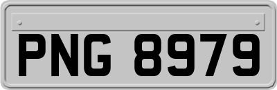 PNG8979