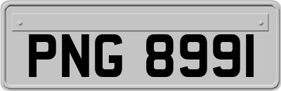 PNG8991