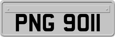 PNG9011