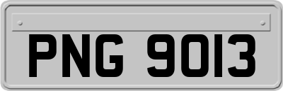 PNG9013