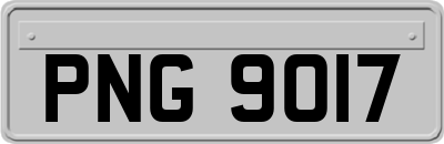 PNG9017