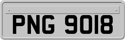 PNG9018