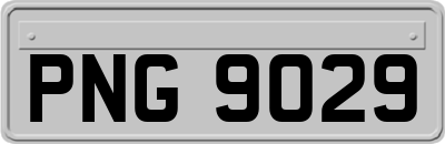 PNG9029
